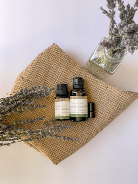 lavender essential oil on plants Hand Harvested Pure Lavender Essential Oil – Deeply Rooted Farms